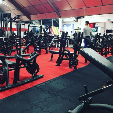 Grind fitness - GRIND FITNESS offers a variety of products for home and commercial gyms, such as color plates, swing arms, half racks, bars, and accessories. Browse the products page and …